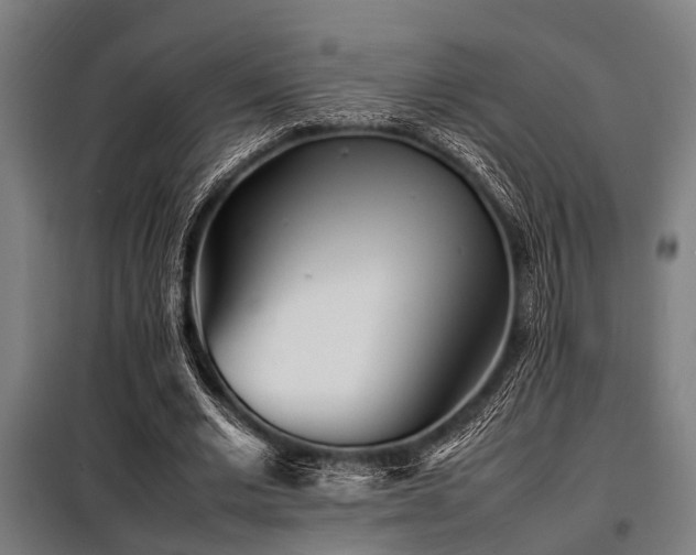X0000098080677200804041149