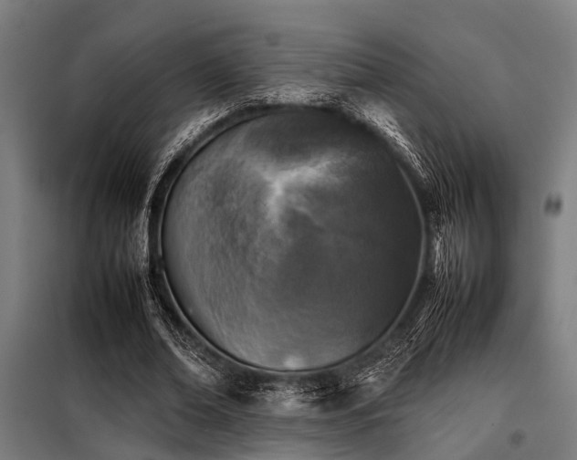 X0000098080678200804041149
