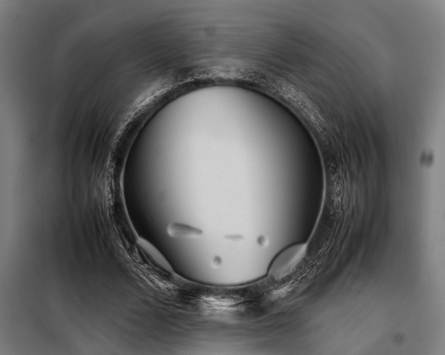 X0000098080680200804041149