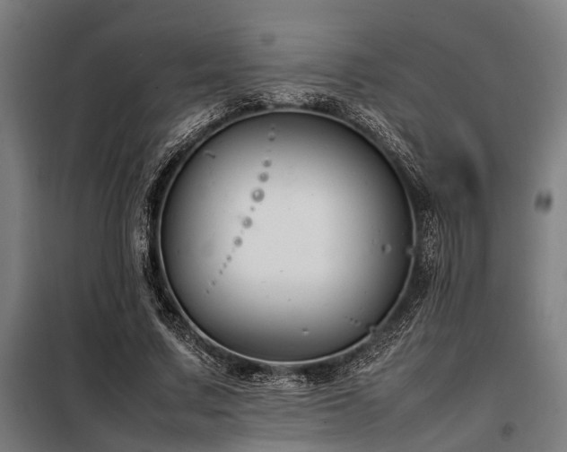X0000098080683200804041149