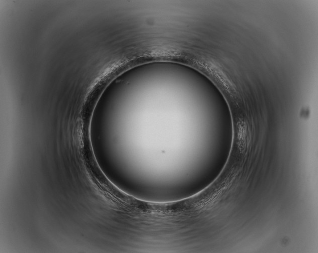 X0000098080684200804041149