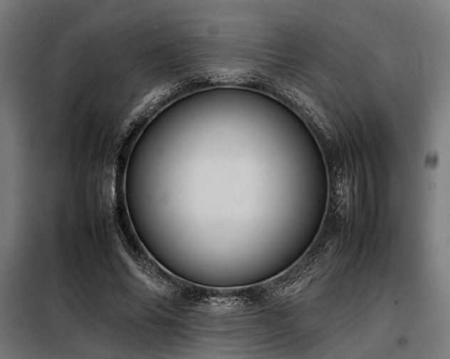 X0000098080686200804041149