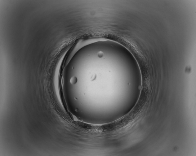 X0000098080687200804041149