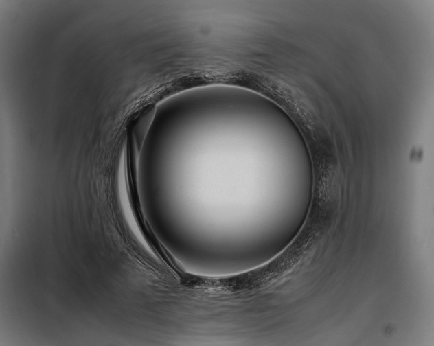 X0000098080689200804041149