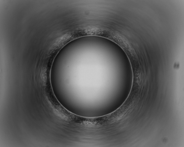 X0000098080690200804041149