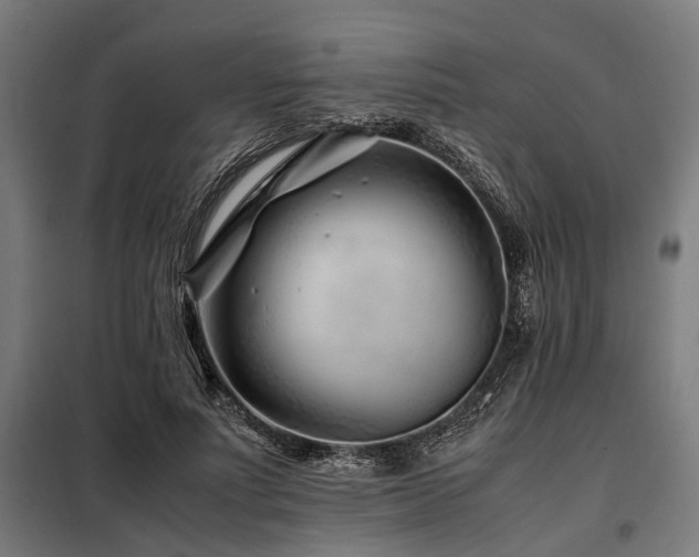 X0000098080691200804041149