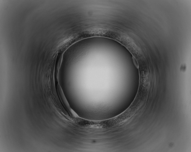 X0000098080692200804041149