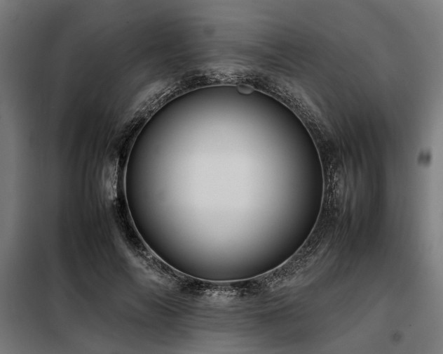 X0000098080694200804041149