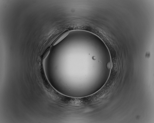 X0000098080695200804041149