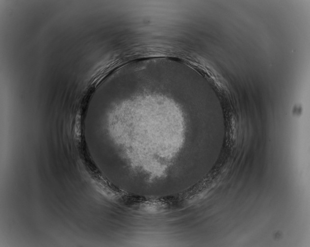 X0000098080696200804041149