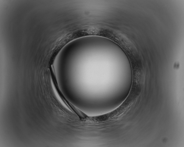 X0000098080697200804041149