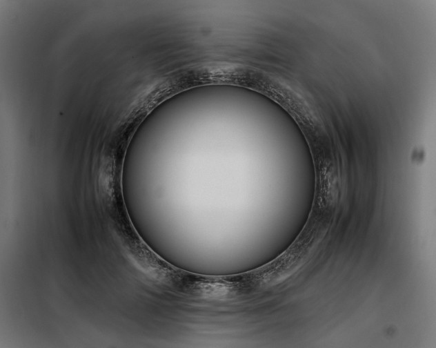 X0000098080698200804041149