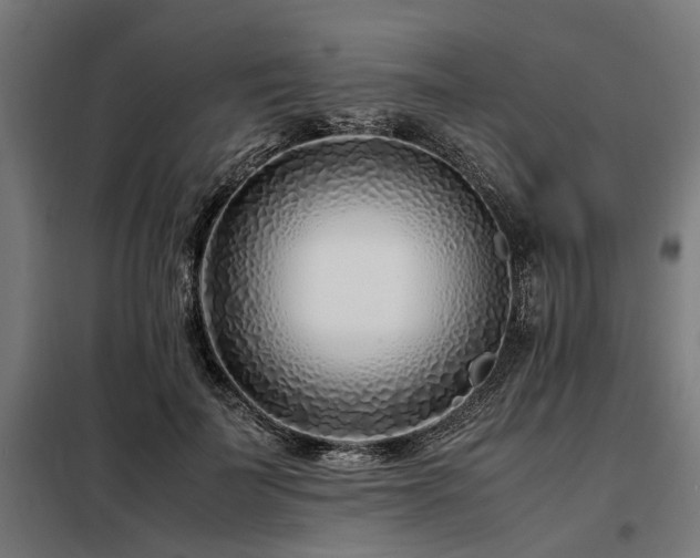 X0000098080699200804041149