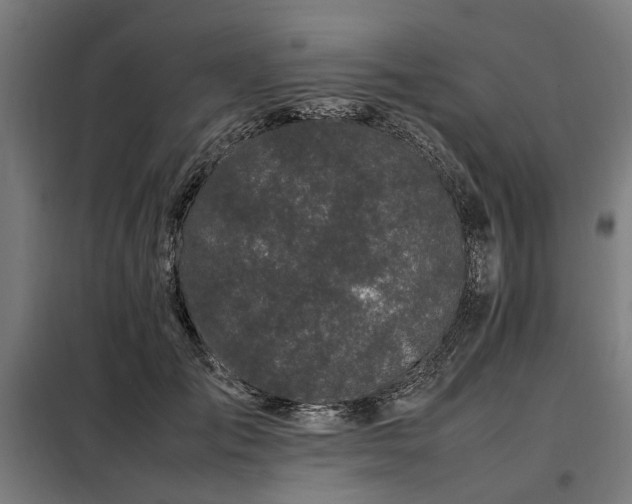 X0000098080701200804041149