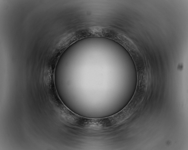 X0000098080702200804041149