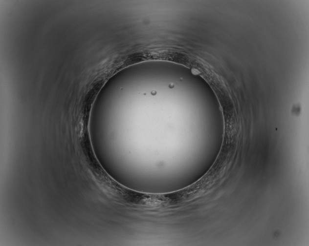 X0000098080703200804041149