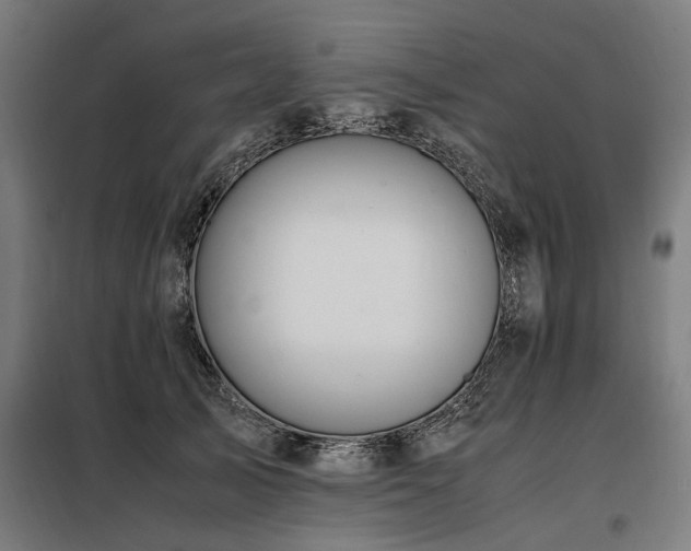 X0000098080705200804041149