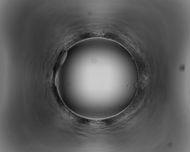 X0000098080707200804041149