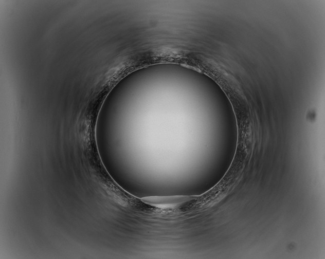 X0000098080708200804041149