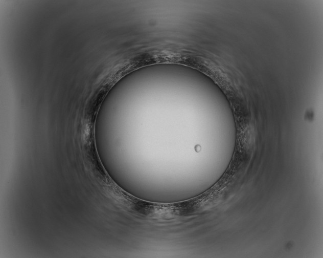 X0000098080709200804041149