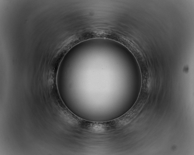X0000098080710200804041149