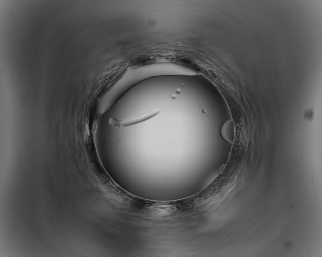 X0000098080711200804041149