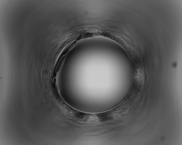 X0000098080715200804041149