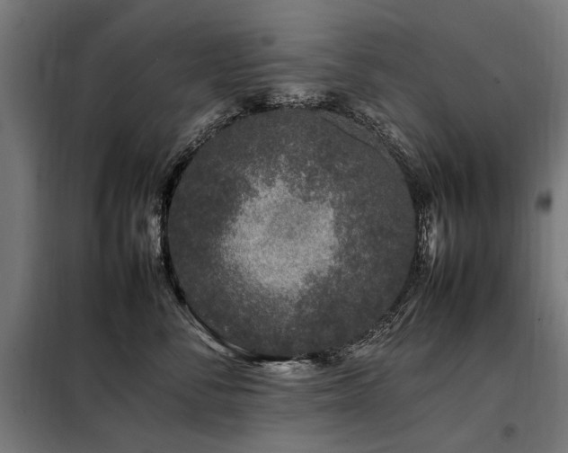 X0000098080716200804041149