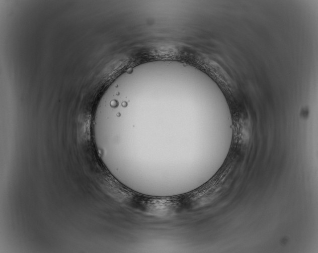 X0000098080717200804041149
