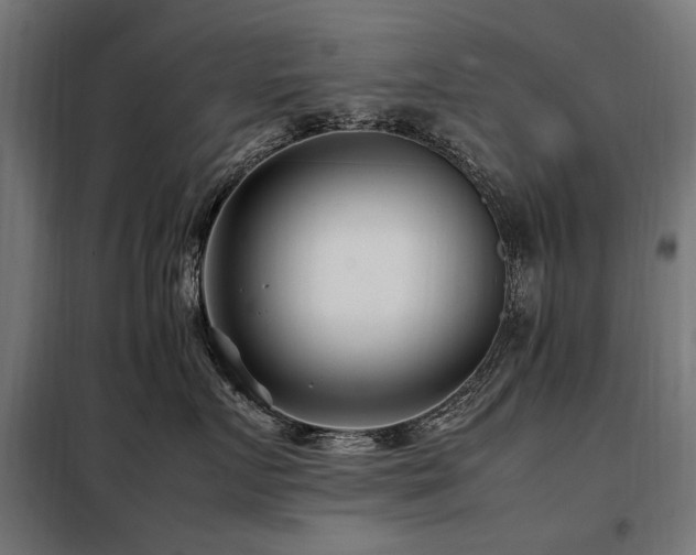 X0000098080719200804041149