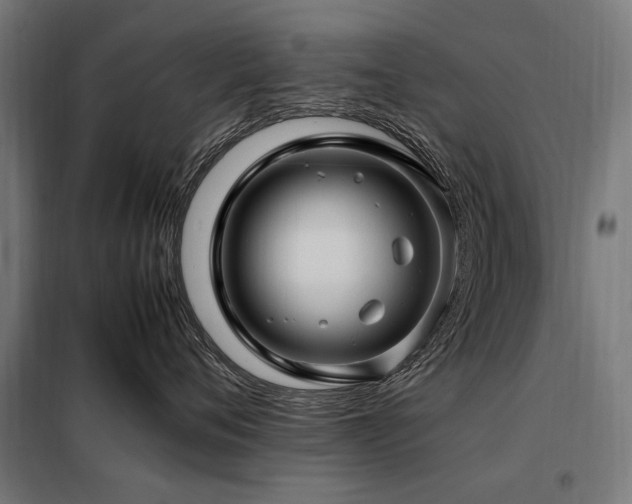 X0000098080720200804041149