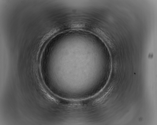 X0000098080721200804041148
