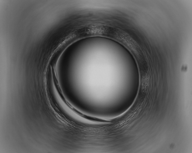 X0000098080722200804041148