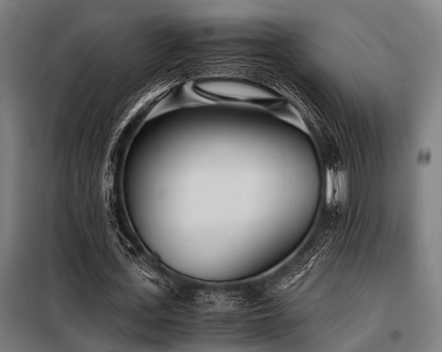 X0000098080723200804041148