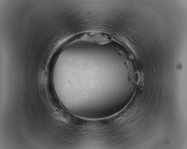 X0000098080724200804041148