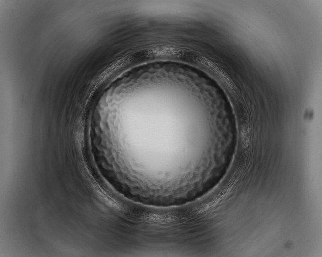 X0000098080725200804041148