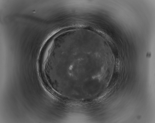X0000098080726200804041148