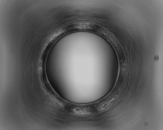 X0000098080727200804041148