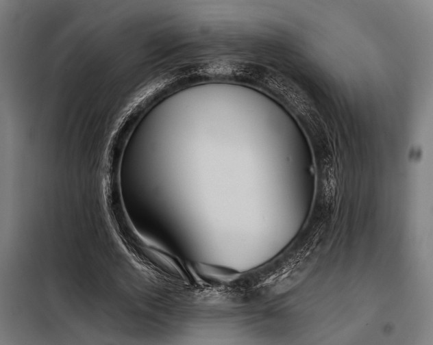 X0000098080728200804041148