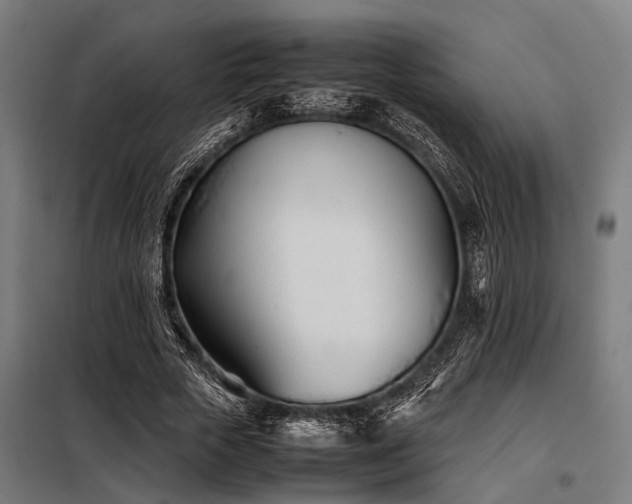 X0000098080729200804041148