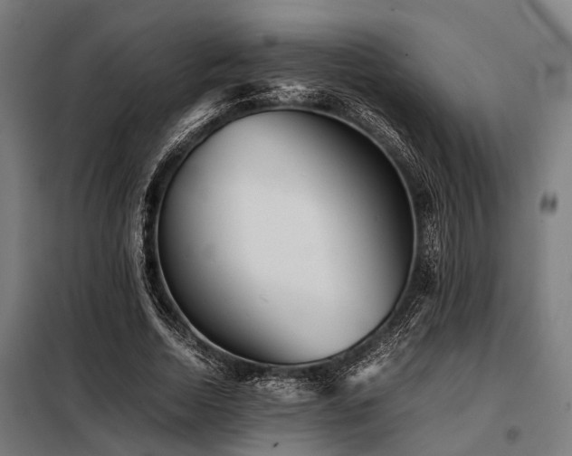 X0000098080730200804041148