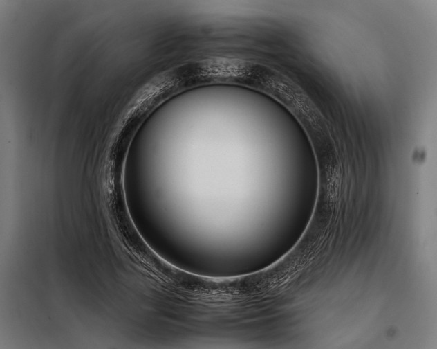 X0000098080731200804041148