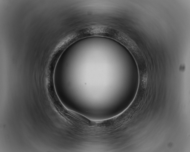 X0000098080732200804041148