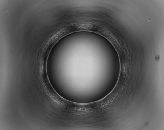 X0000098080733200804041148