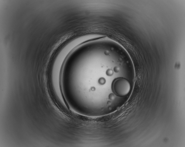 X0000098080734200804041148
