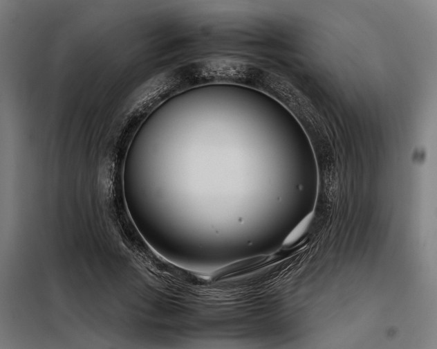 X0000098080735200804041148