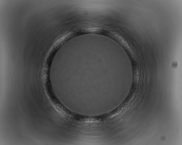 X0000098080736200804041148