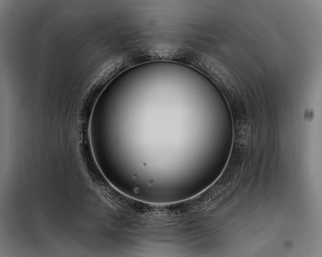 X0000098080738200804041148