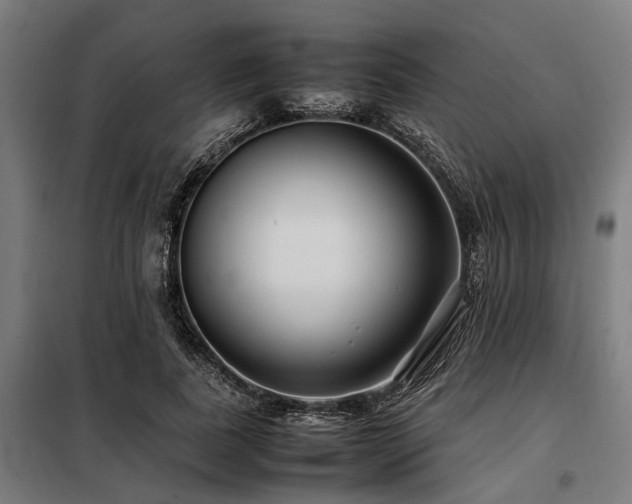 X0000098080739200804041148