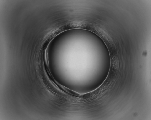 X0000098080740200804041148